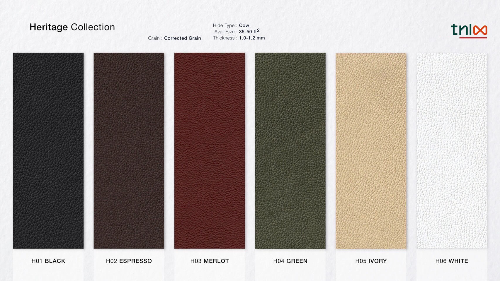 สีของกระเป๋าหนัง